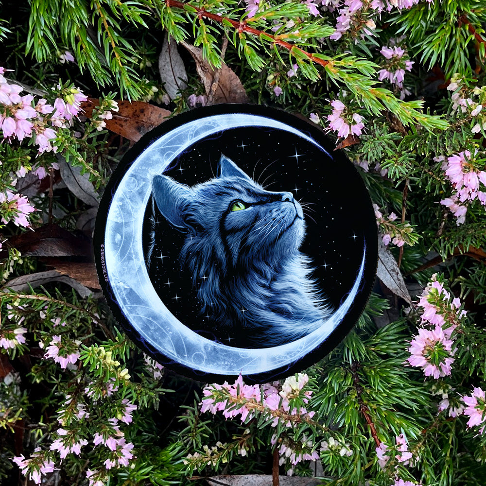 Starlight Kitten Coaster