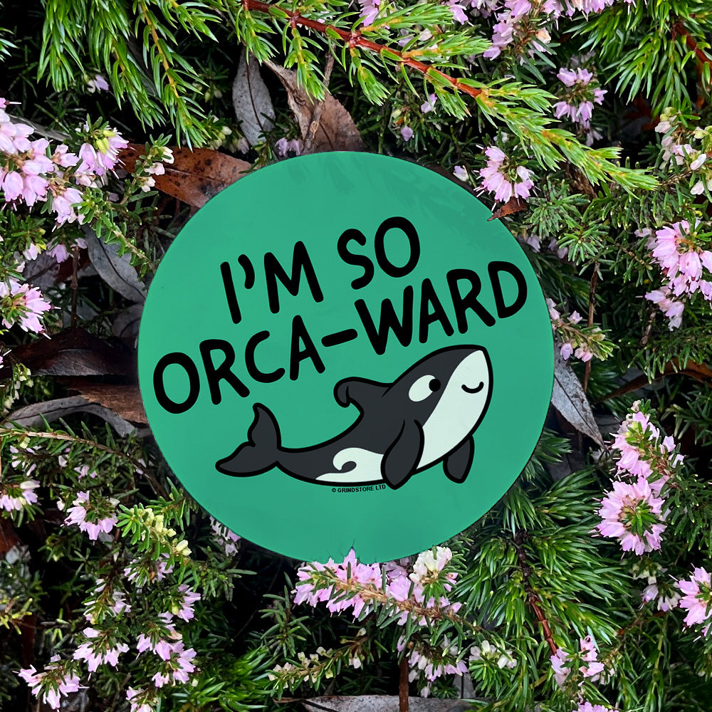 I'm So Orca-ward Coaster