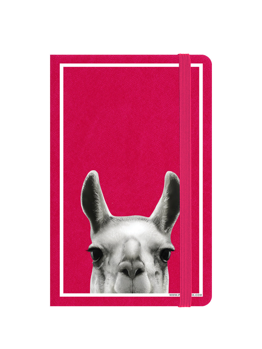 Notebook Front
