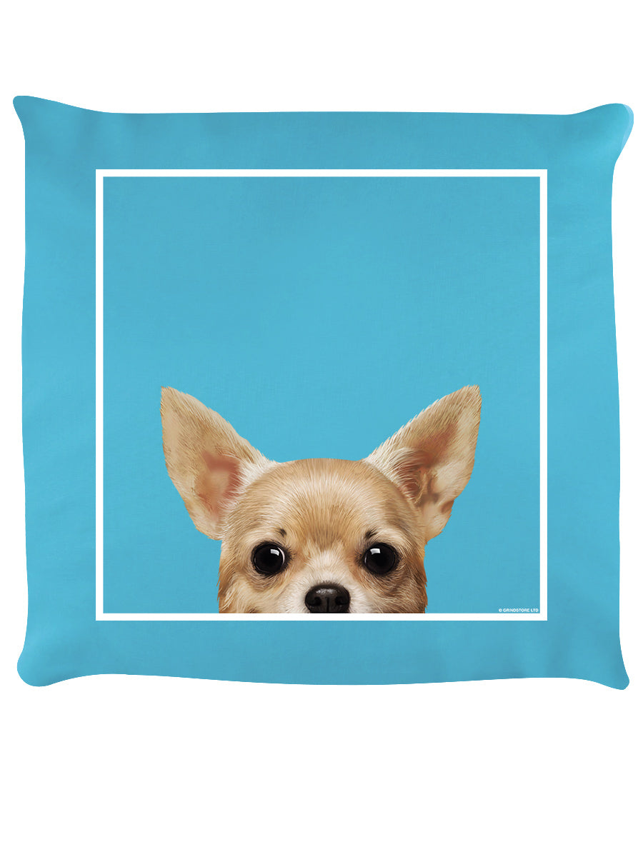Cushion Front