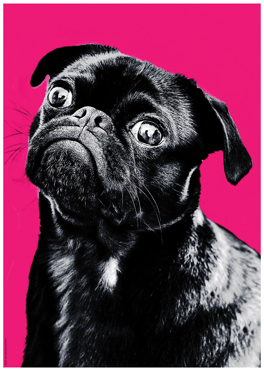 Mini Poster Front