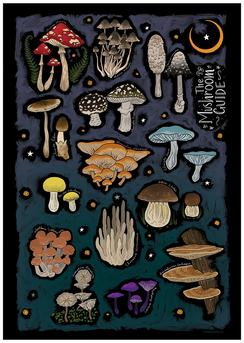 Mini Poster Front