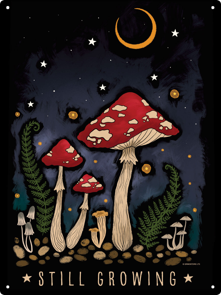 Magical Mushrooms Still Growing Large Tin Sign