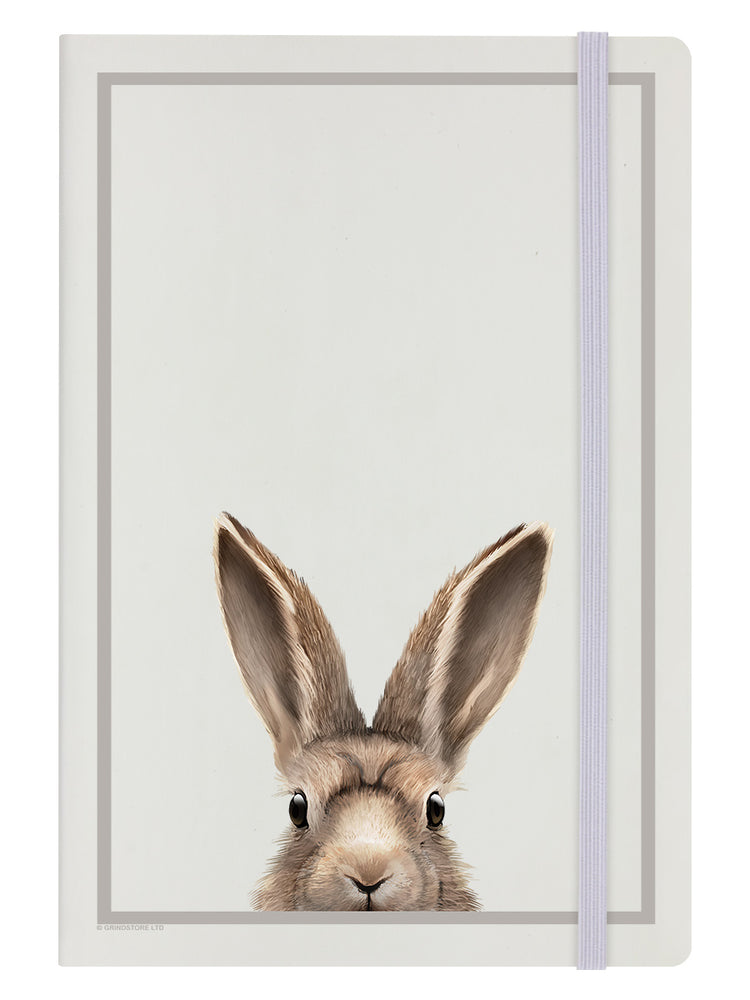 Inquisitive Creatures Hare Cream A5 Hard Cover Notebook
