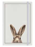 Inquisitive Creatures Hare Cream A5 Hard Cover Notebook