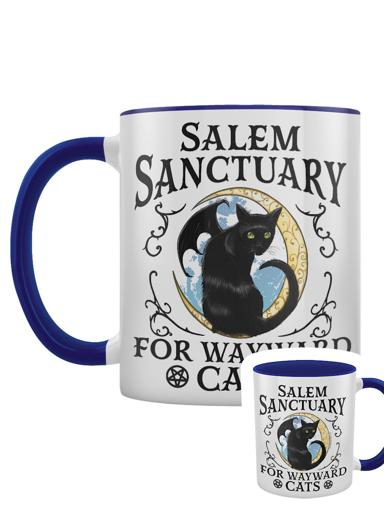 Salem Sanctuary For Wayward Cats Blue Inner 2-Tone Mug