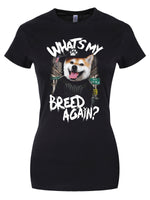 Playlist Pets What's My Breed Again? Ladies Black T-Shirt