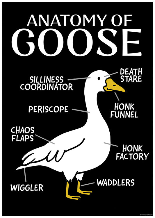 Silly Goose Anatomy Of A Goose Mini Poster