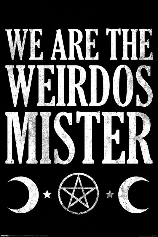 We Are The Weirdos Mister Maxi Poster