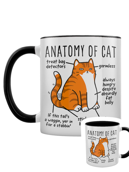 Anatomy Of Cat Black Inner 2-Tone Mug