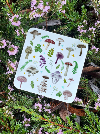 Mushroom Medley Coaster