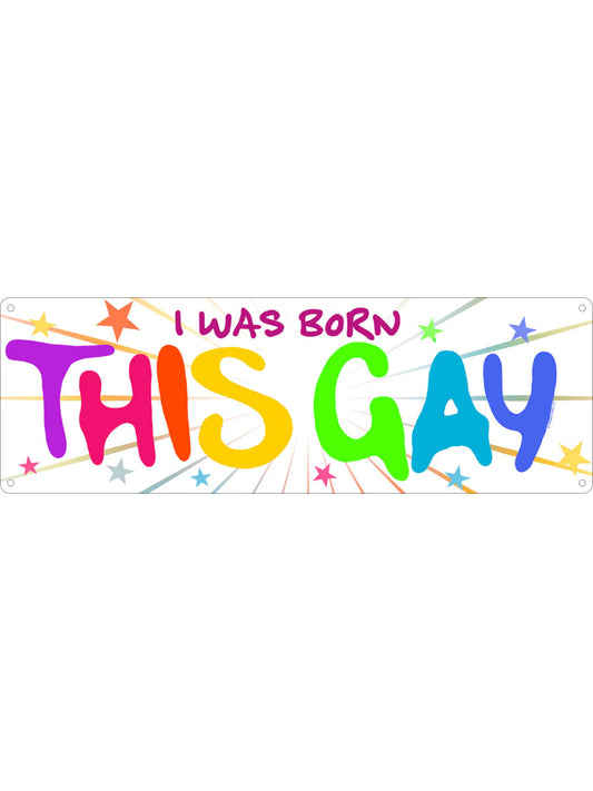 I Was Born This Gay Slim Tin Sign