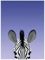 Inquisitive Creatures Zebra Mini Poster