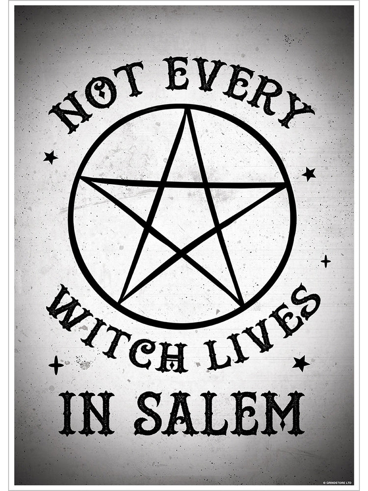 Not Every Witch Lives In Salem Mini Poster