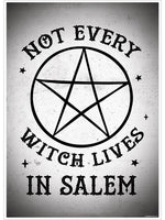 Not Every Witch Lives In Salem Mini Poster