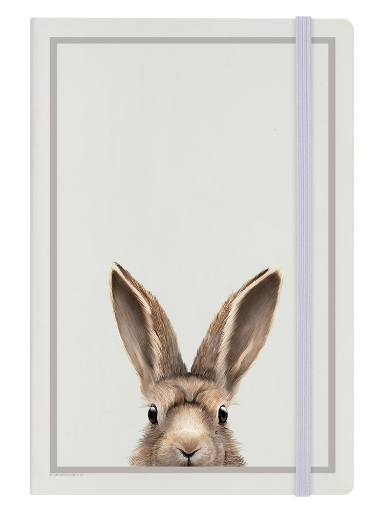Inquisitive Creatures Hare A5 Cream Notebook