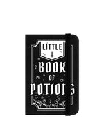 Little Book Of Potions Mini Notebook