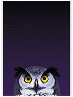 Inquisitive Creatures Owl Mini Poster