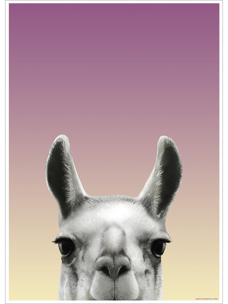 Inquisitive Creatures Llama Mini Poster