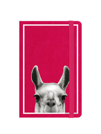 Notebook Front