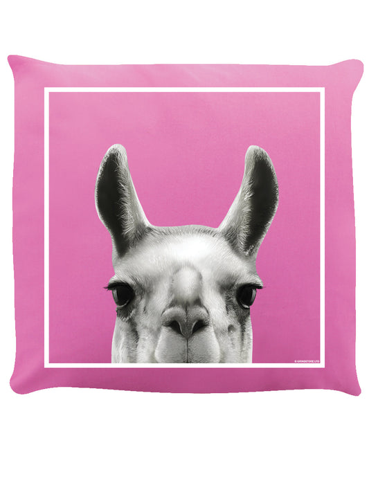 Cushion Front