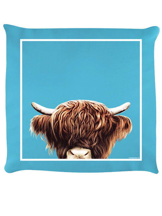 Cushion Front