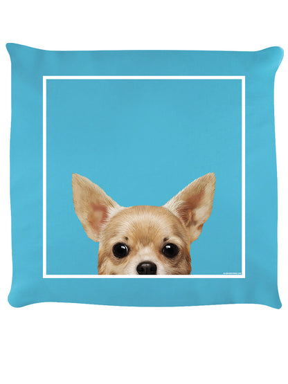 Cushion Front