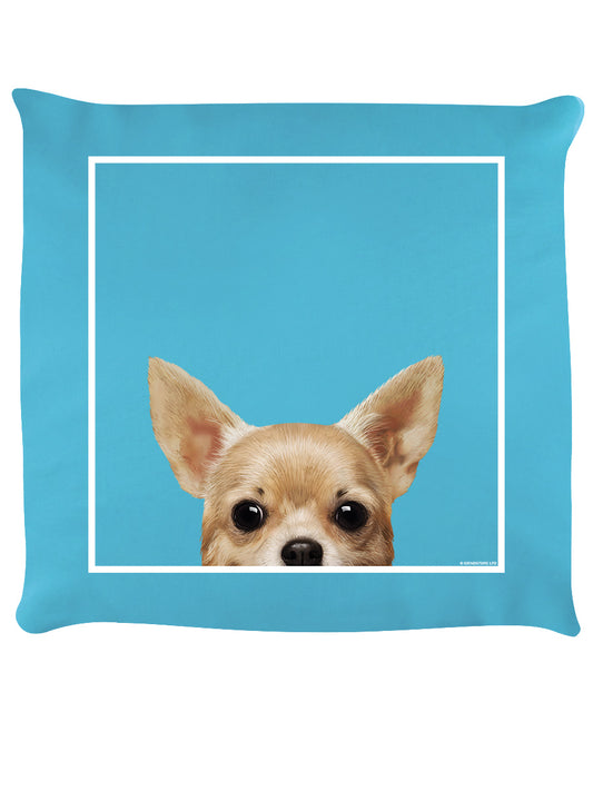 Cushion Front