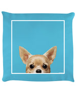 Inquisitive Creatures Chihuahua Cushion