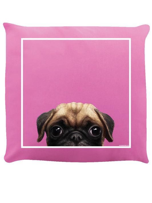 Cushion Front