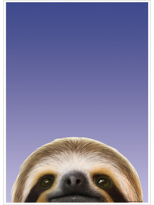Inquisitive Creatures Sloth Mini Poster