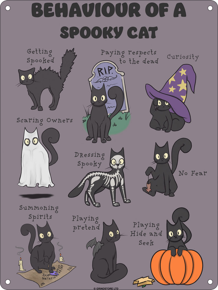 Behaviour Of A Spooky Cat Mini Tin Sign
