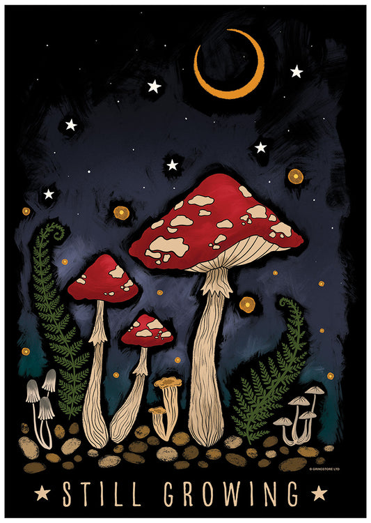 Mini Poster Front