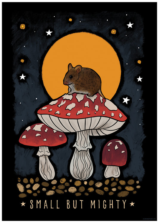 Mini Poster Front