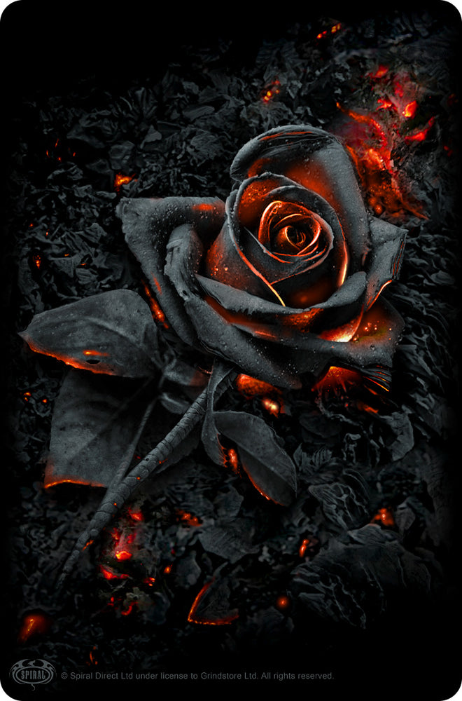 Spiral Burnt Rose Greet Tin Card