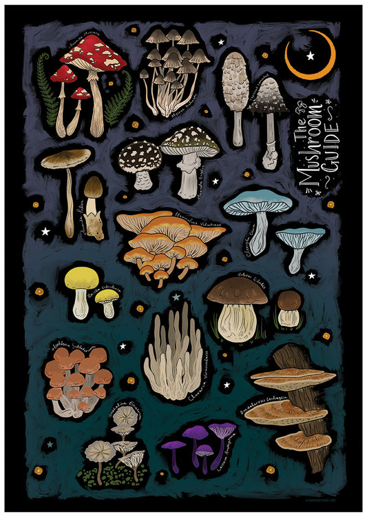 Mini Poster Front