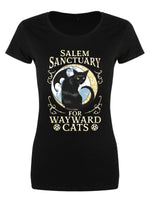 Salem Sanctuary For Wayward Cats Ladies Black Merch T-Shirt