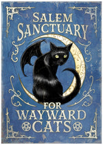 Salem Sanctuary for Wayward Cats Mini Poster
