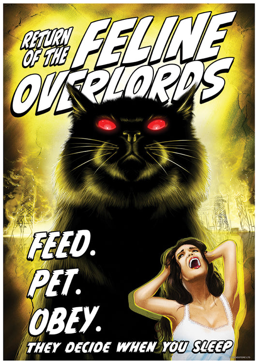 Mini Poster Front