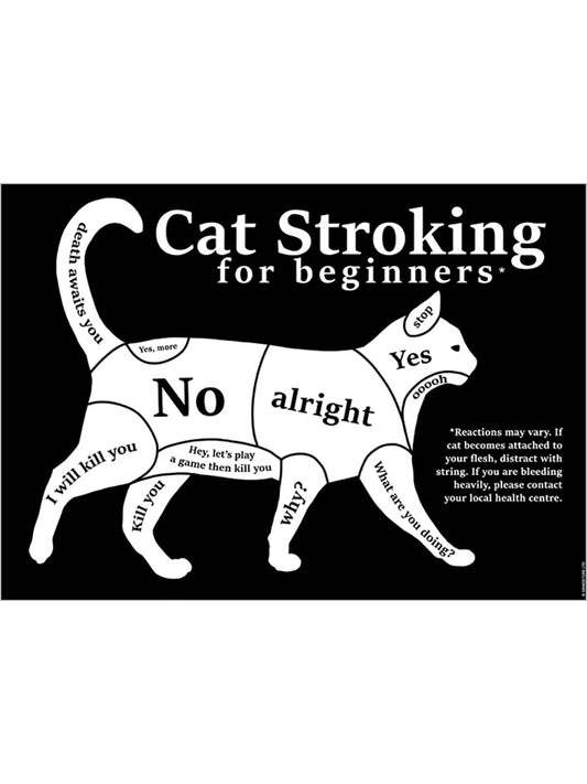 Cat Stroking For Beginners Mini Poster
